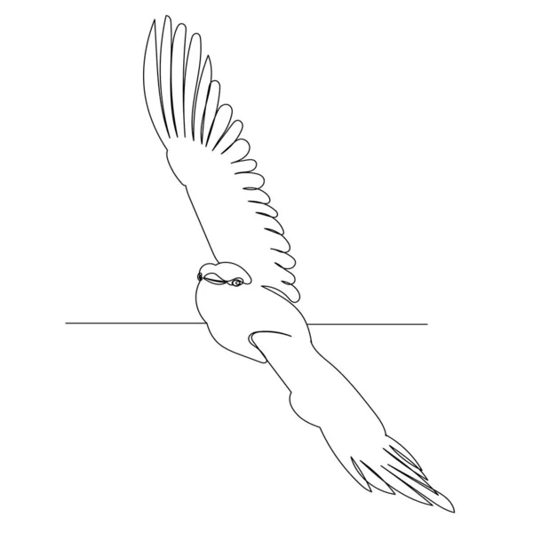 Vector Geïsoleerd Schets Vogel Één Lijntekening — Stockvector