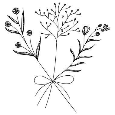 vektör, izole edilmiş, bir bitki, ot, buketteki çiçekler.