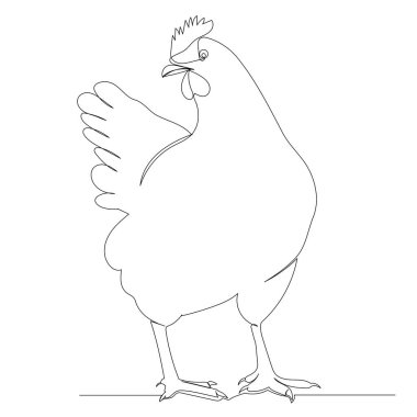 tavuk çizimi aralıksız bir çizgi, vektör, izole edilmiş