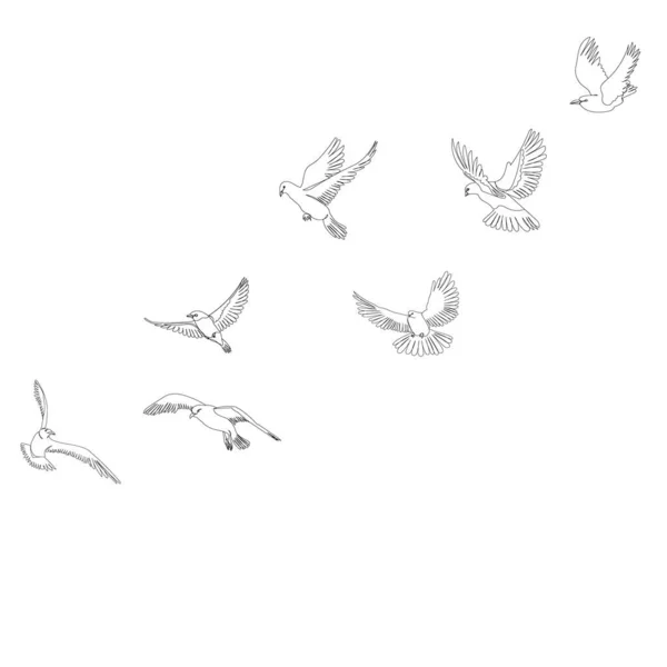 Vecteur Croquis Isolé Oiseau Volant — Image vectorielle