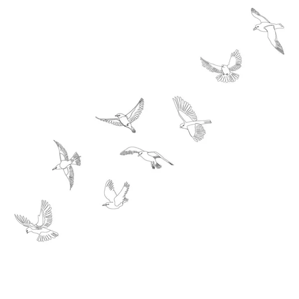 Croquis Troupeau Oiseaux Volants — Image vectorielle