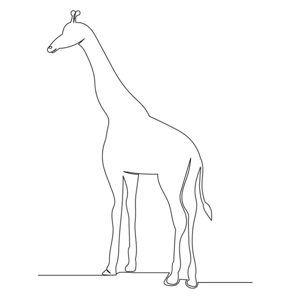 Giraffa Tracciando Una Linea Continua Isolata — Vettoriale Stock