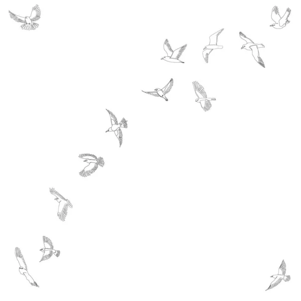 Croquis Troupeau Oiseaux Volant — Image vectorielle