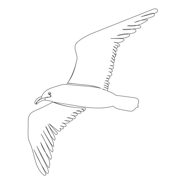 Fiskmås Flyga Skiss Fågel Vektor Isolerad — Stock vektor