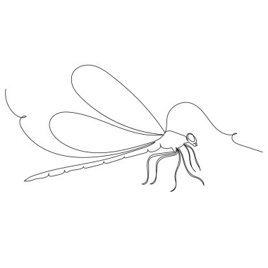 Yusufçuk çizimi, çizim