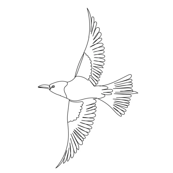 Boceto Pájaro Volador Aislado Vector — Vector de stock