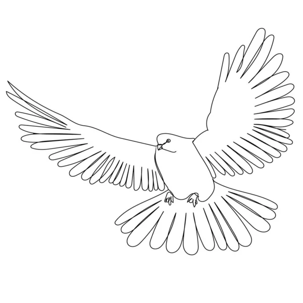 Isolé Croquis Contour Oiseau Vole Sur Fond Blanc — Image vectorielle