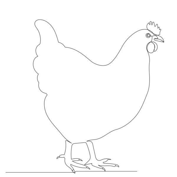 Pollo Disegno Linea Isolato Vettore — Vettoriale Stock