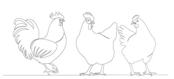 Poule Coq Dessin Ligne Continue Vecteur Isolé — Image vectorielle