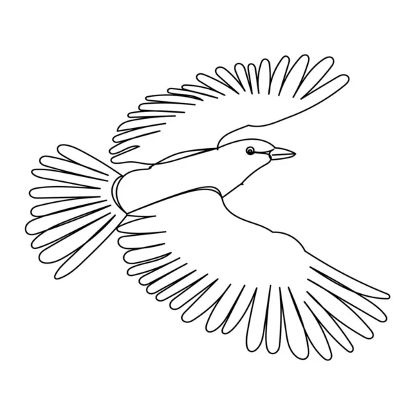 Bird Flies Contour Sketch Vector Isolated — Stock Vector