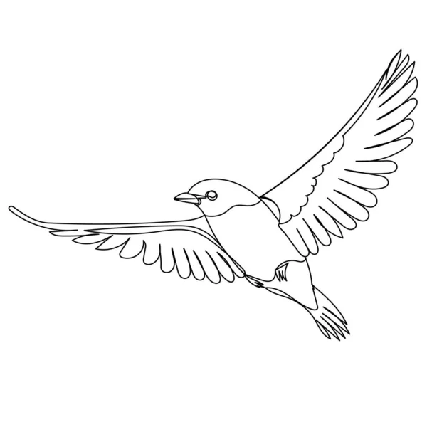 Flying Bird Sketch White Background — Vetor de Stock