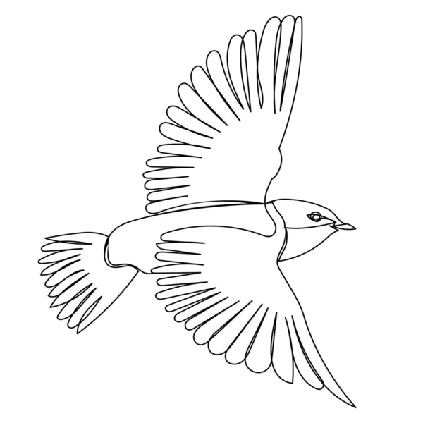 Moscas Aves Boceto Vector Aislado — Archivo Imágenes Vectoriales