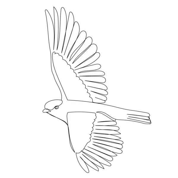 Croquis Isolé Sur Fond Blanc Oiseau Volant — Image vectorielle