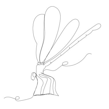 Yusufçuk çizimi aralıksız bir çizgi, çizim, vektör