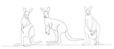 Kanguru sürekli tek bir çizgi çiziyor, izole edilmiş.