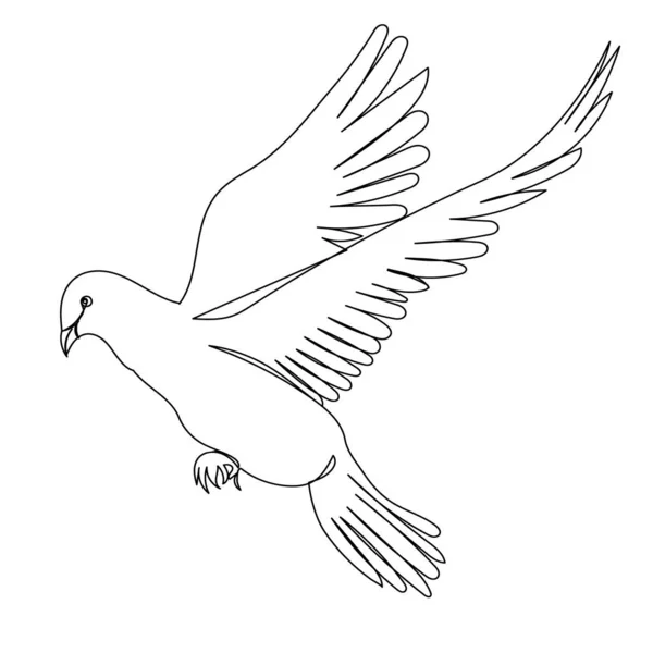 Szkic Latającego Ptaka Izolowany Gołąb — Wektor stockowy
