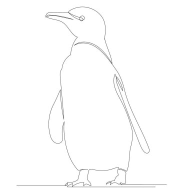 Penguen sürekli çizgi çizimi, çizim