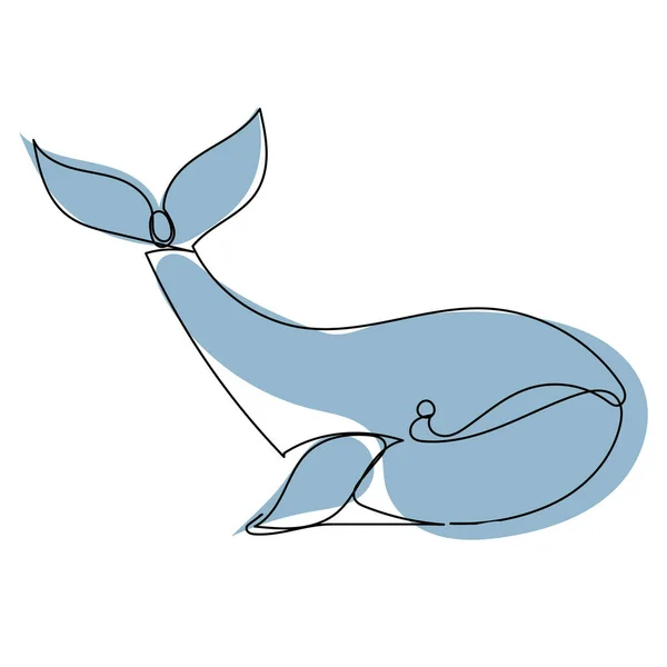 흰긴수염고래 스케치 — 스톡 벡터
