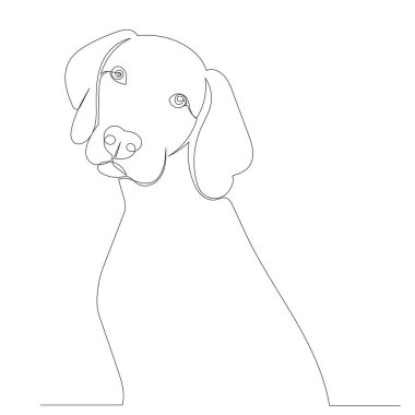 Köpeğin sürekli çizdiği bir çizgi.