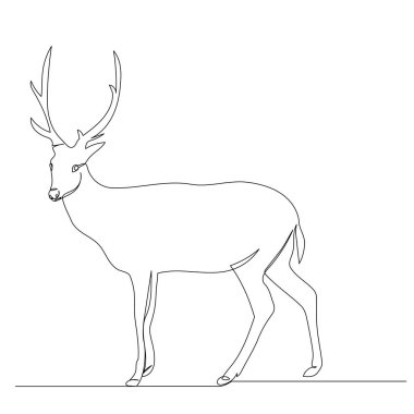 Tek sıra halinde geyik çekiyor.