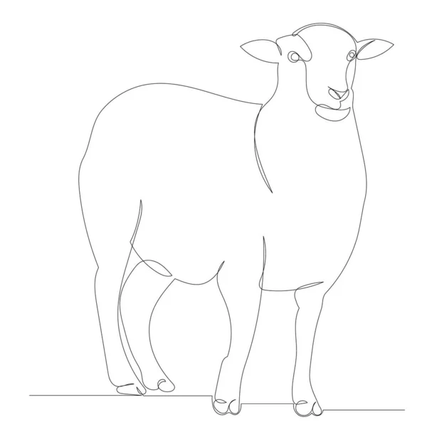 Einzelne Durchgehende Strichzeichnung Eines Schafes — Stockvektor