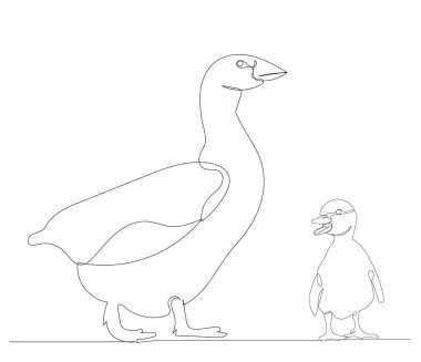 Ördek ve ördek yavrusu aralıksız bir çizgi çiziyor.