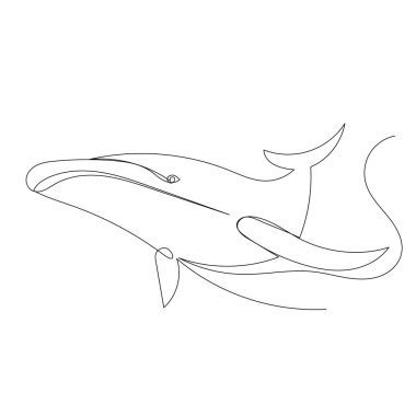 Balina sürekli çiziyor, çizim.