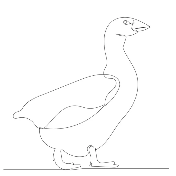 Duck Drawing One Continuous Line Sketch — Stock Vector