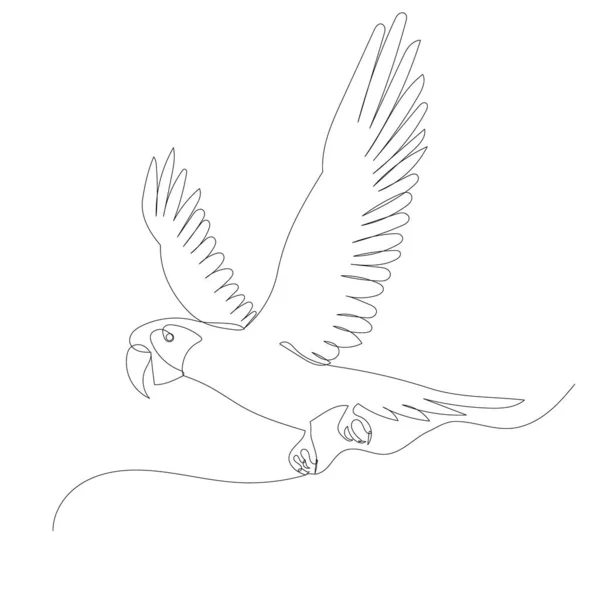 Малюнок Папуги Одній Безперервній Лінії Ескіз — стоковий вектор