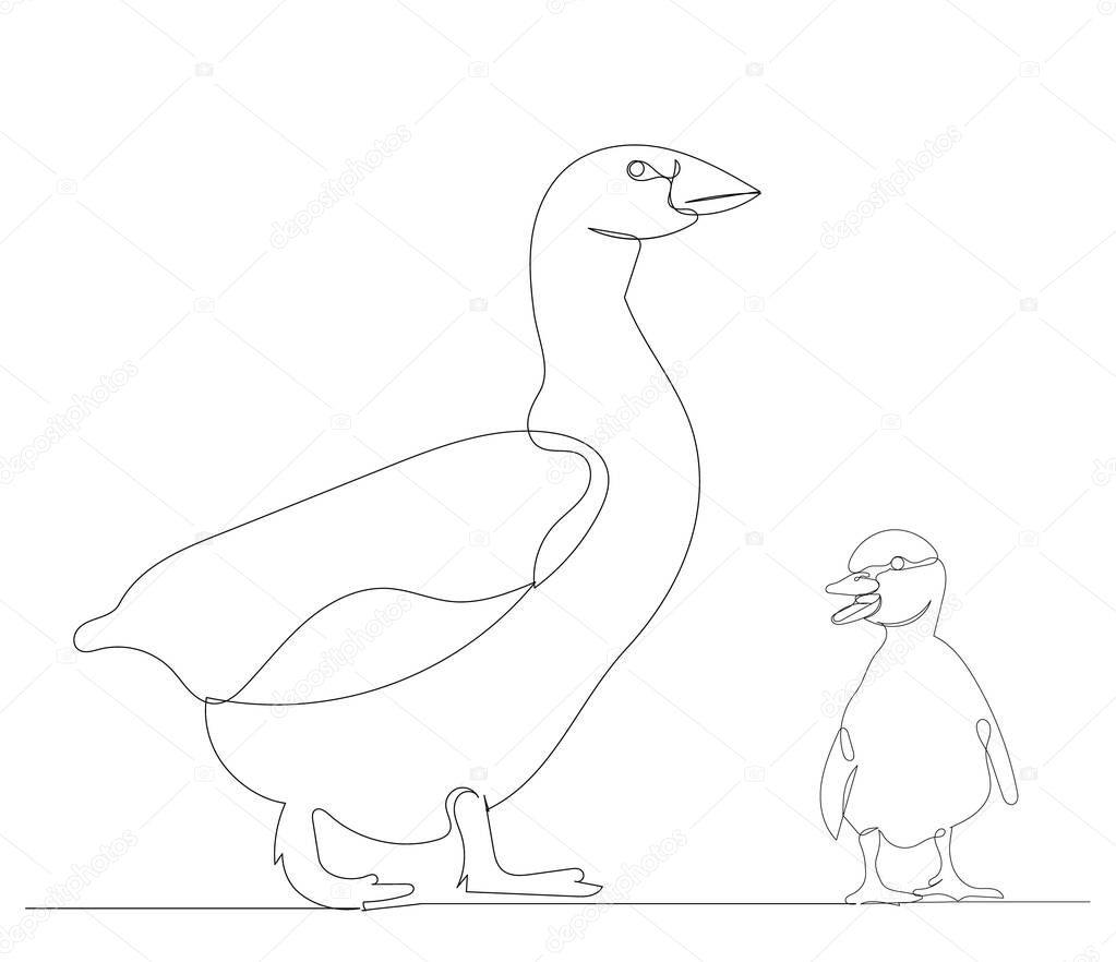 Duck and duckling drawing by one continuous line, sketch