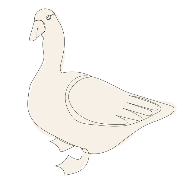 Oie Blanche Dessin Canard Par Une Ligne Continue Croquis — Image vectorielle