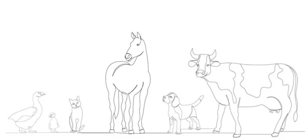 Малюнок Домашніх Тварин Одній Безперервній Лінії Ескіз — стоковий вектор