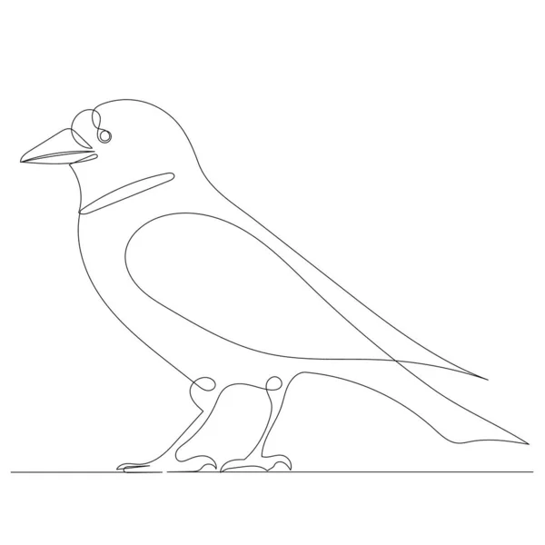 Fecske rajz Stock vektorok, Fecske rajz Jogdíjmentes illusztrációk ...