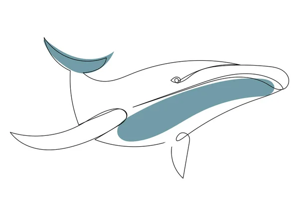 Whale Swims Drawing One Continuous Line Isolated — Stock Vector