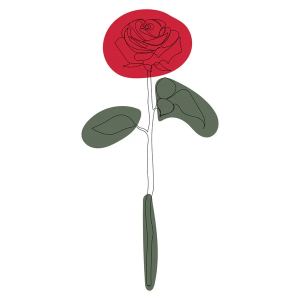 Eine Durchgehende Linienzeichnung Skizze Rote Rose — Stockvektor