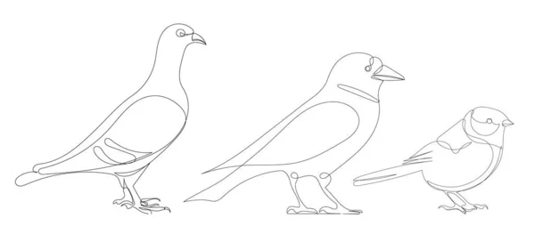 Jedna Souvislá Kresba Čáry Ptáci — Stockový vektor