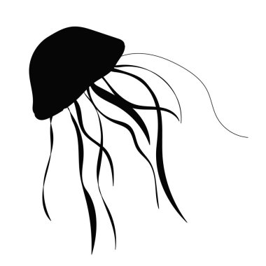 Beyaz arka planda siyah denizanası silueti