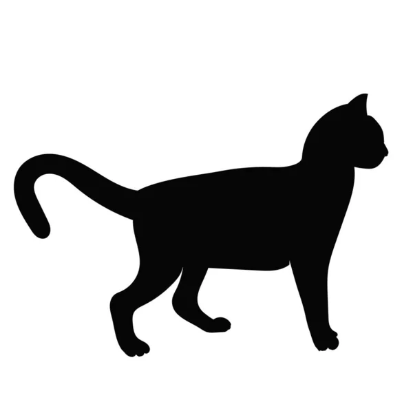 Black Silhouette Cat White Background — Stock Vector