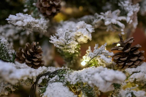 Feche Uma Árvore Natal Com Neve Qual Pendem Cones Cones — Fotografia de Stock