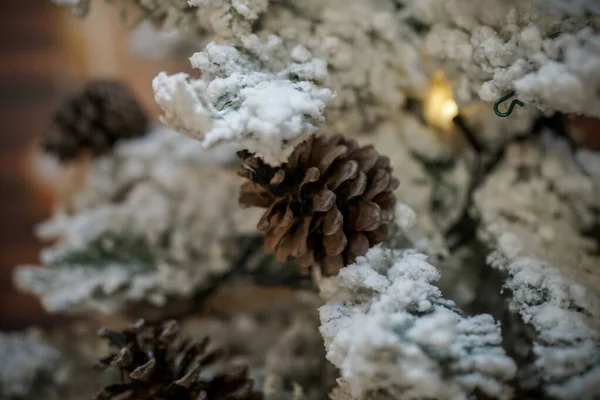 Feche Uma Árvore Natal Com Neve Qual Pendem Cones Cones — Fotografia de Stock