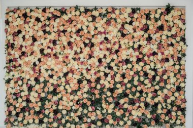 Farklı çiçeklerle dolu bir duvar. Geçmişleri, dokuları, duvar kağıtları. Düğün dekorasyonu. Fotoğraf Bölgesi