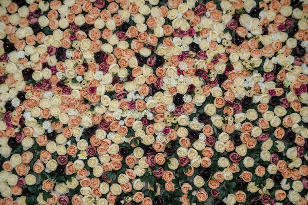 Wall with different flowers. Backgrounds, textures, wallpaper. Wedding decoration. Photo zone