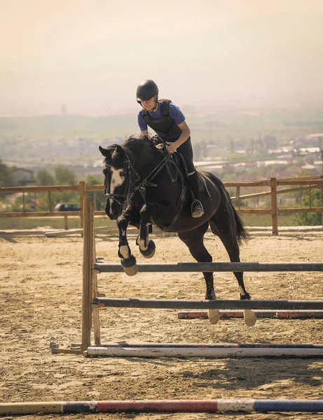 Lovas Sport Fekete Közeledik Ugrás Lövöldözés Elölről Jockey Lovaglás Egy — Stock Fotó