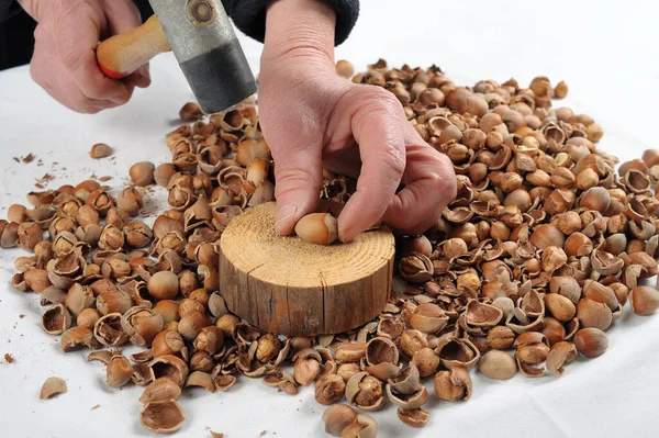 Frau Der Hand Hammer Zum Knacken Von Haselnüssen — Stockfoto