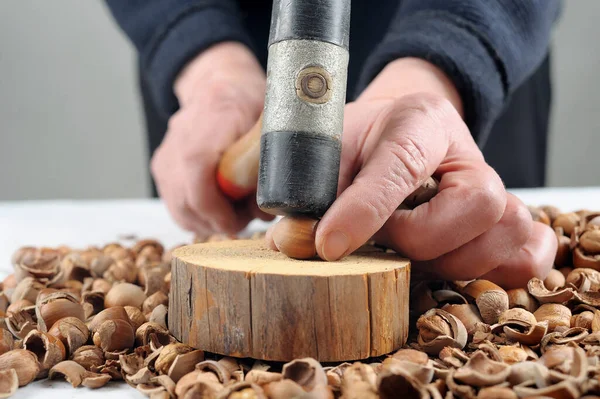 Eine Frau Mit Dem Hammer Der Hand Knackt Haselnüsse — Stockfoto