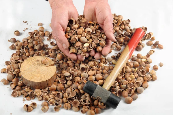 Eine Frau Mit Dem Hammer Der Hand Knackt Haselnüsse — Stockfoto