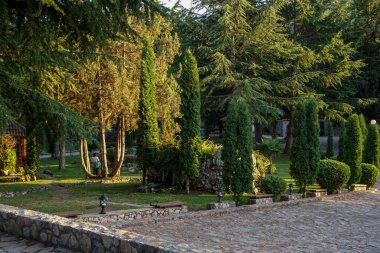 Şehir parkının patikalı panoraması. Parktaki ağaçların arasından geçen patika.