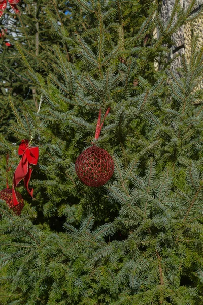 Natural Christmas Tree Decorations Ornaments Beautiful Christmas Tree Red Balls — Stock Photo, Image