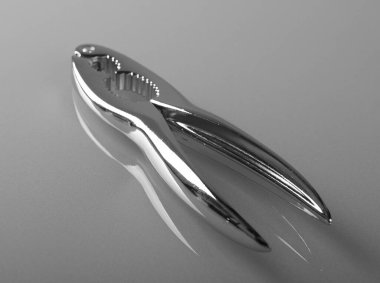 Yansıma arka planında metal fındık kırıcı