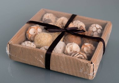 Plastik şeffaf kutuda kurumuş çiçek çeşitleri